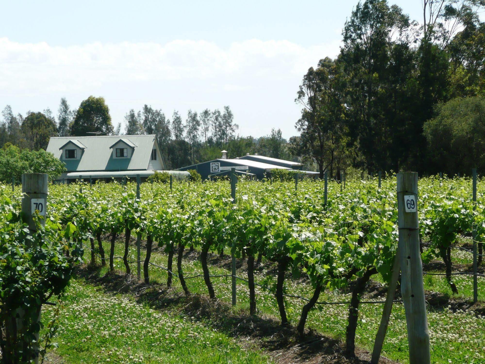 Emma'S Cottage Vineyard เลิฟเดล ภายนอก รูปภาพ
