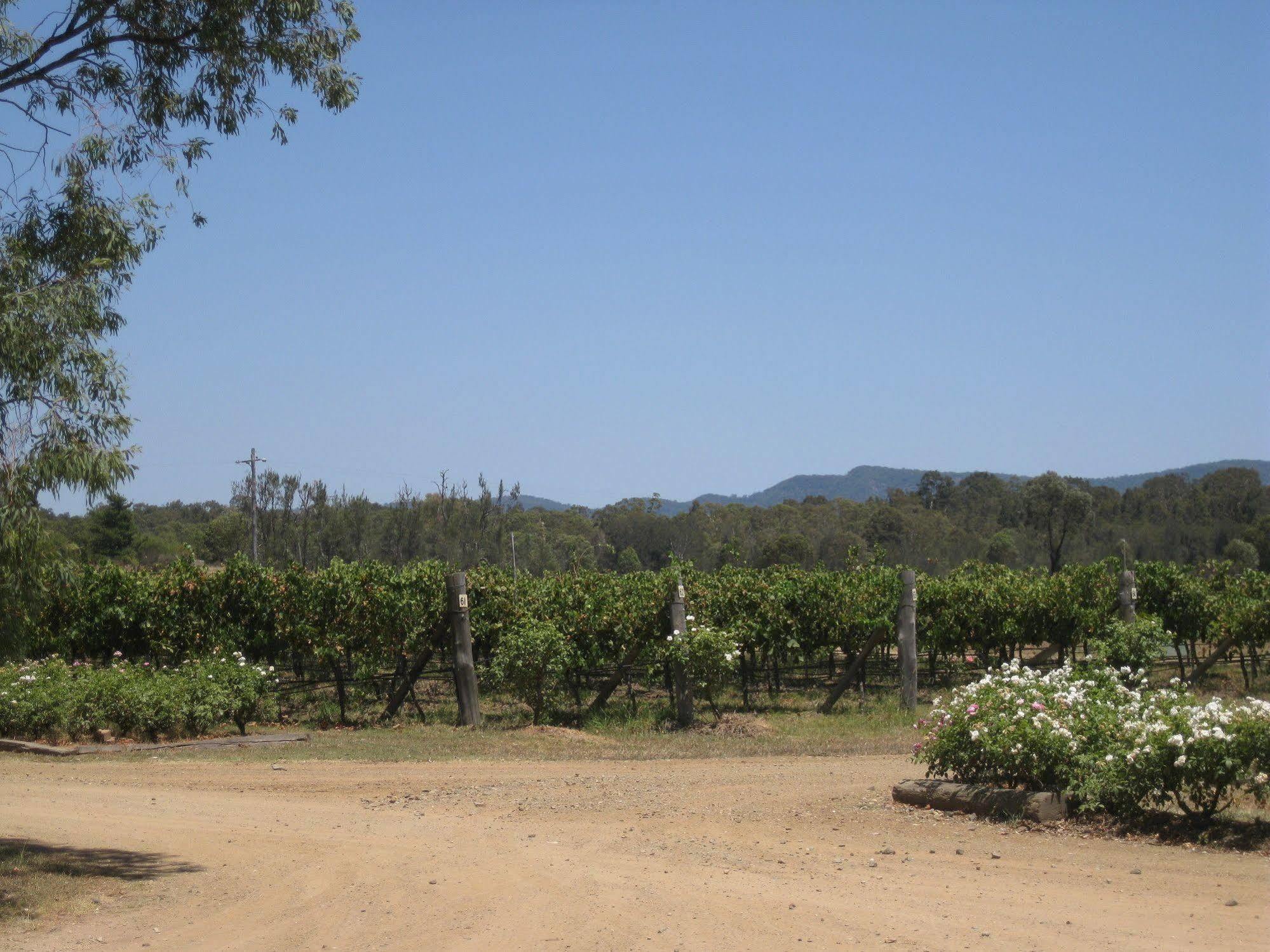 Emma'S Cottage Vineyard เลิฟเดล ภายนอก รูปภาพ