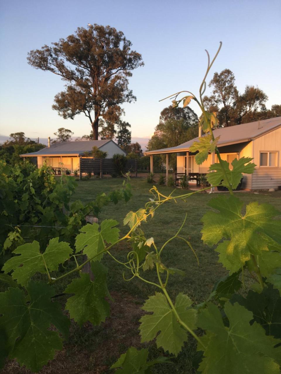 Emma'S Cottage Vineyard เลิฟเดล ภายนอก รูปภาพ